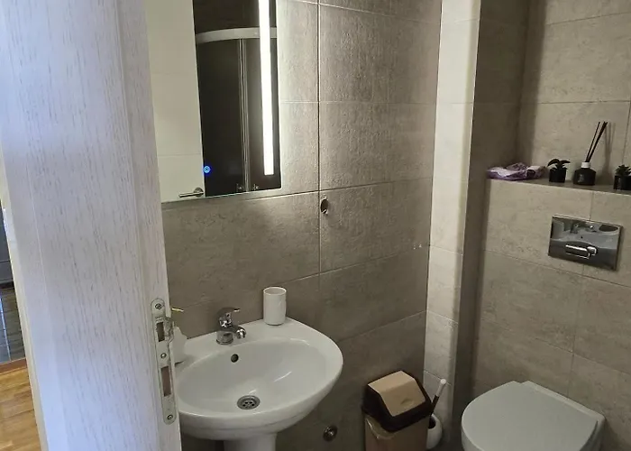 Iva Lux Vrnjacka Banja Apartman *